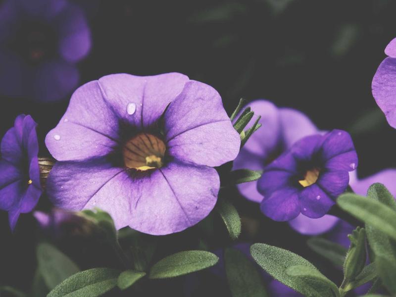 sudoku solution check